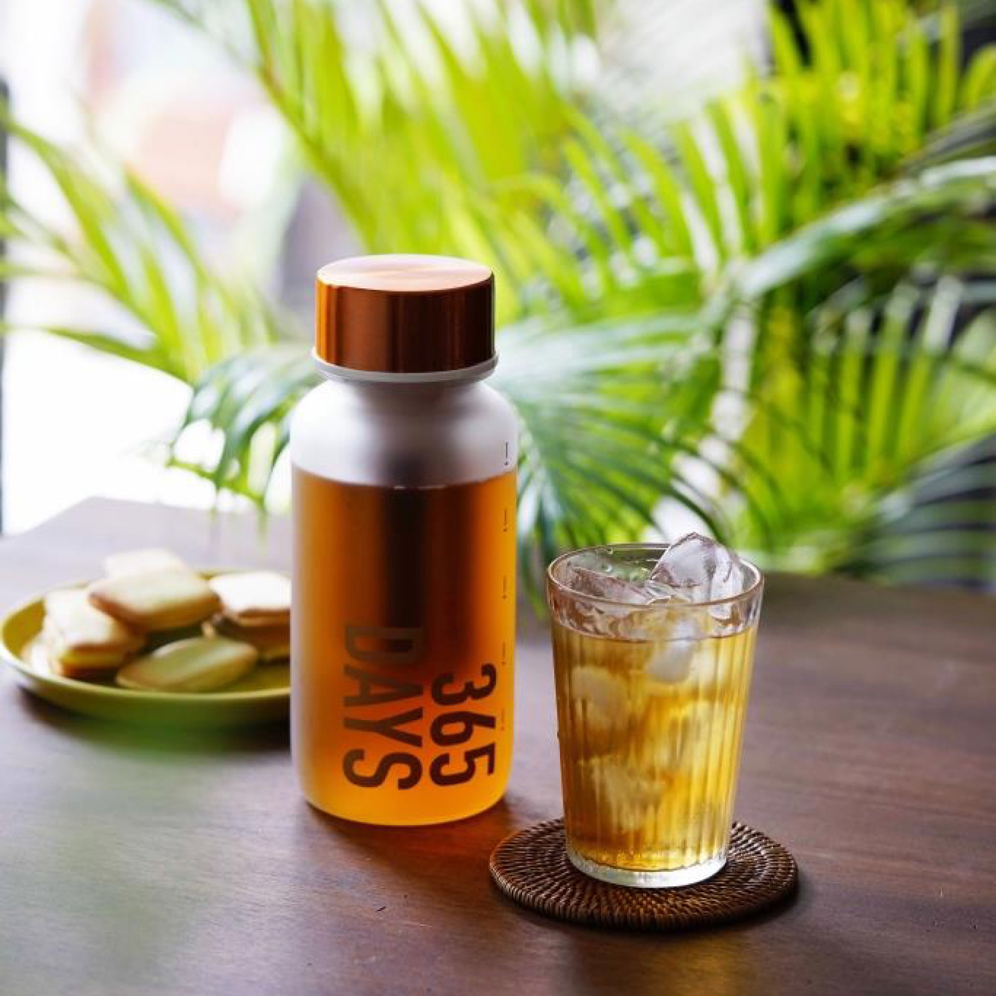 WEMUG Frosty Brew Bottle 365Days with Filter, Coffee Tea Lover (9 colors) - WEMUG