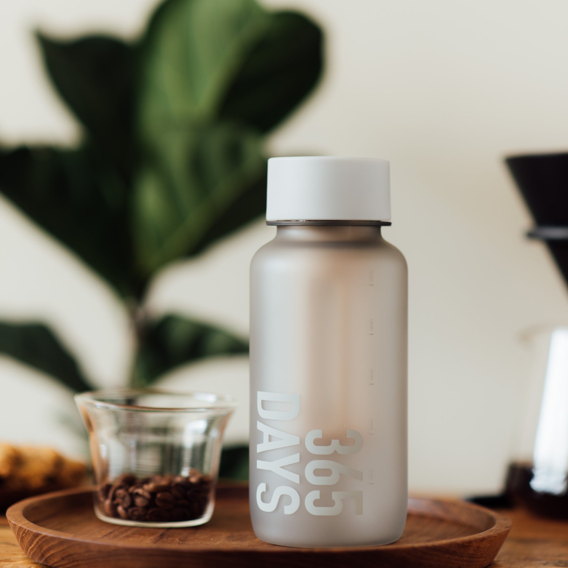 WEMUG Frosty Brew Bottle 365Days with Filter, Coffee Tea Lover (9 colors) - WEMUG