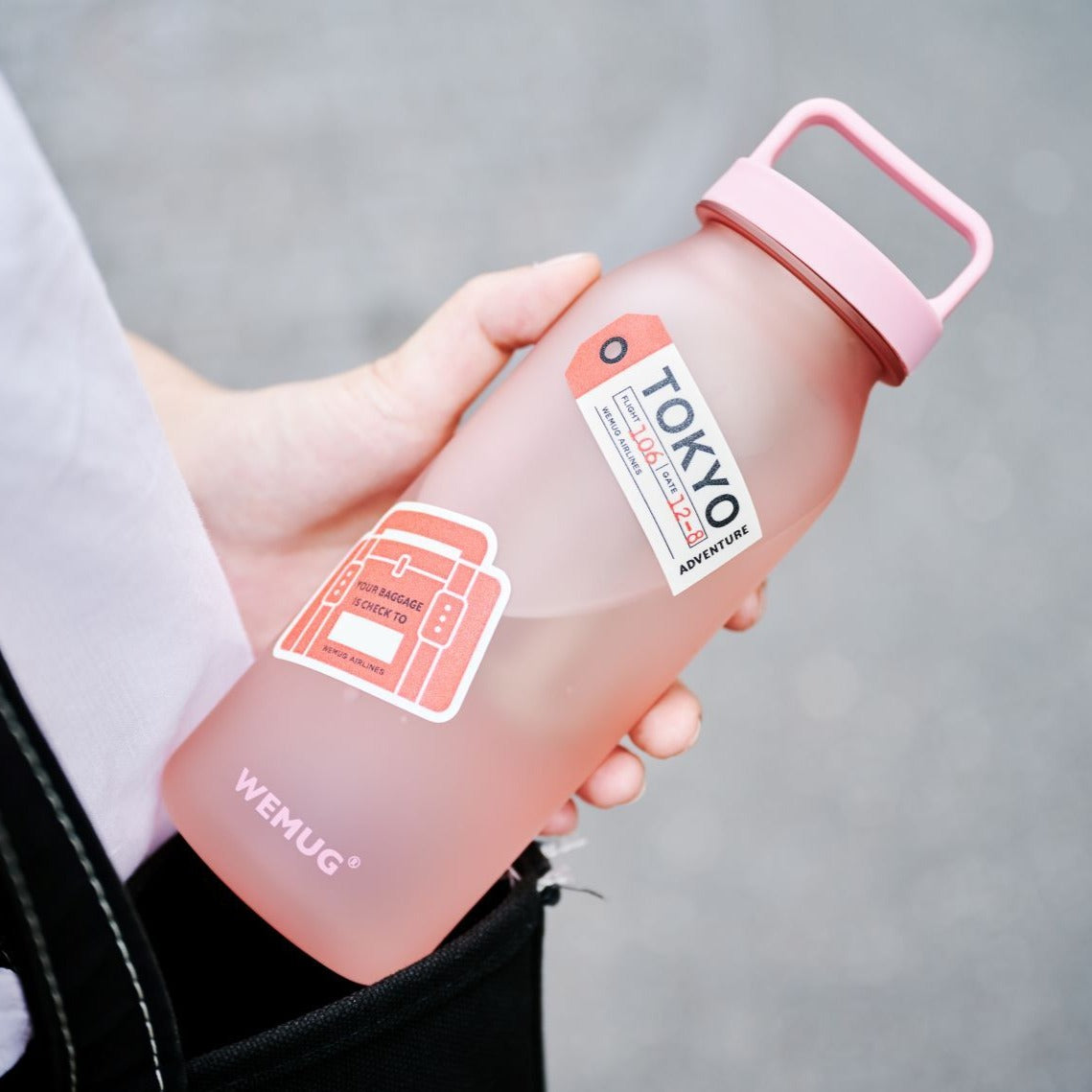 WEMUG Travel the World Airlines Fun Sticker for Water Bottle, Mug and Tumbler - WEMUG