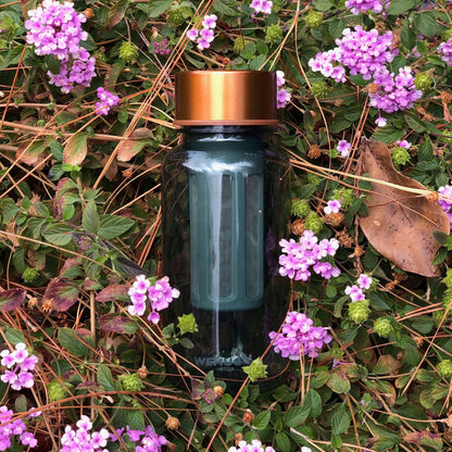 WEMUG Copper Brew Bottle S550/S650 with filter, Tritan BPA Free, coffee lover on-the-go - WEMUG